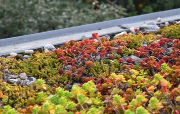 the cost of Cold Ash Hill green roof installation