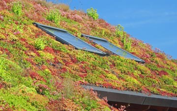 Cold Ash Hill living roof systems